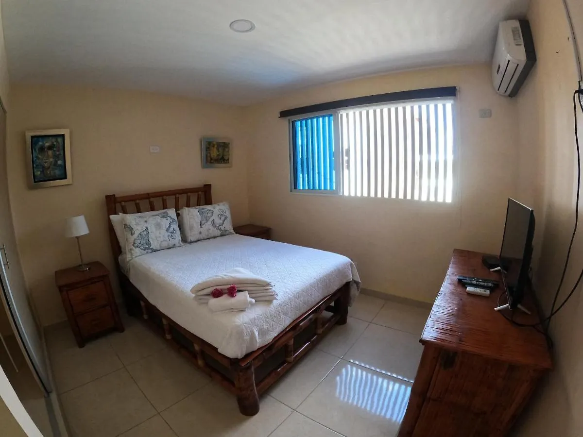 Apartamentos Roman Santo Domingo