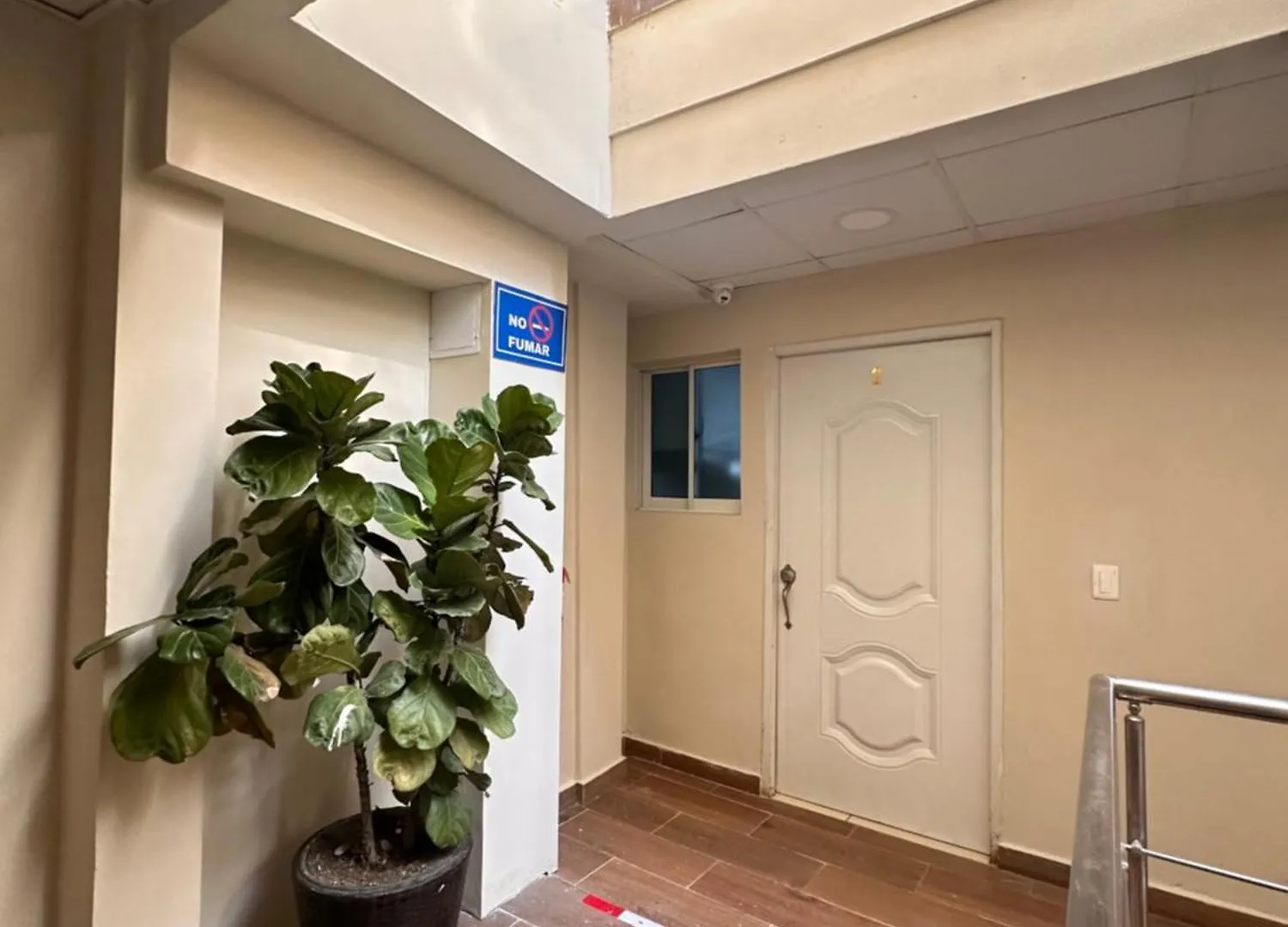 Apartamentos Roman Santo Domingo