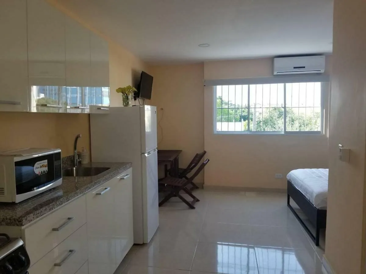 Apartamentos Roman Santo Domingo 0*,